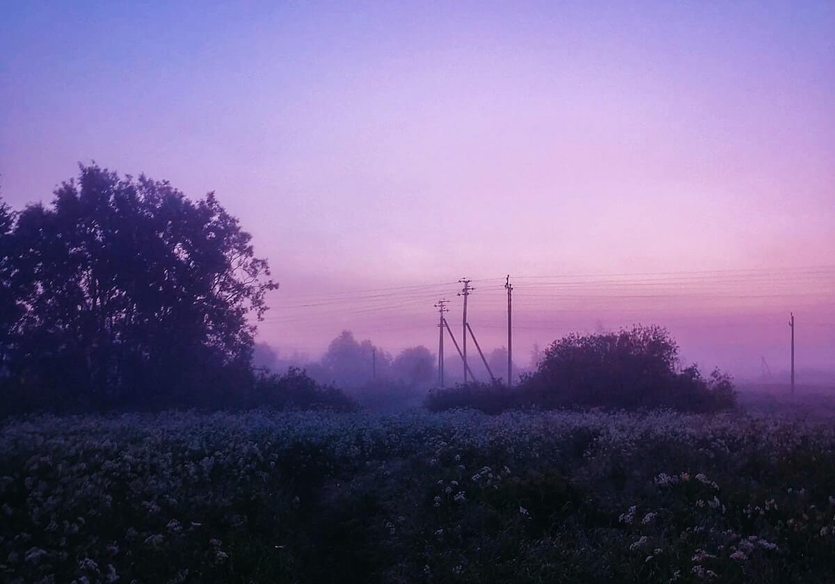 赫斯特呼吁禁止儿童头球 愿捐献大脑用于医学研究